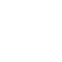 Chiropractic Care